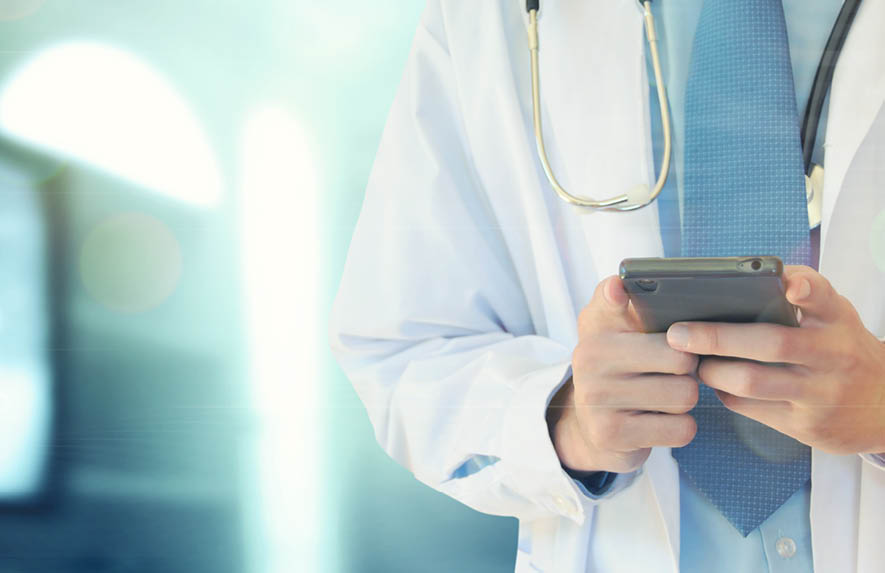 Wildlife habitats picture